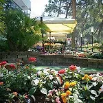 Nadir Milano Marittima